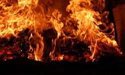 Pluimveebedrijf “Atsma”